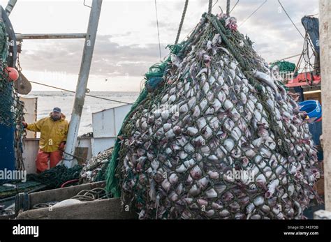 Fishing Trawler Net High Resolution Stock Photography and Images - Alamy