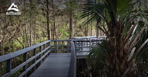 Best hikes and trails in Coconut Creek | AllTrails