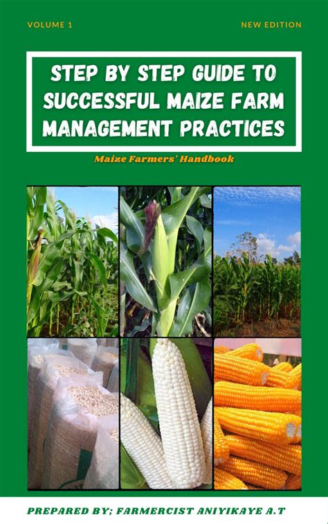 Buy Step By Step Guide To Successful Maize Farm Management Practices By