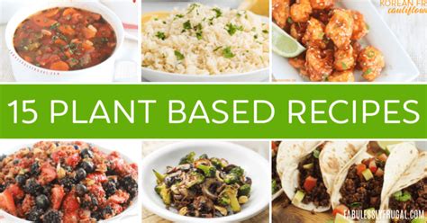 15 Healthy Plant-Based Recipes (Beginner-Friendly) - Fabulessly Frugal