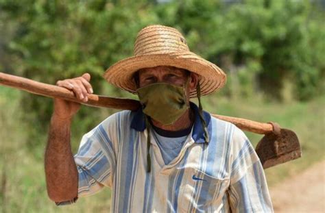 Campesinos Denuncian Que Sus Cosechas Se Pudren En El Campo Por