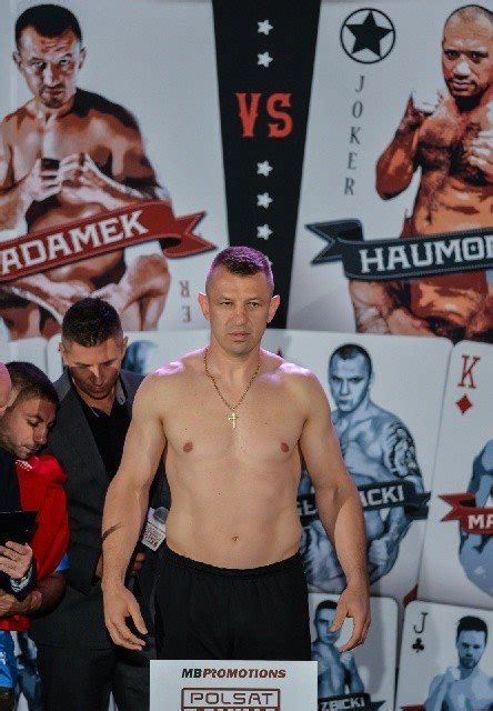 Polsat Boxing Night Adamek Haumono Na Ywo Transmisja Tv