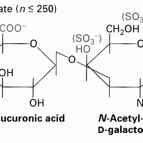 Schematic Illustration Of Structurally Related Syndecan Genes Showing