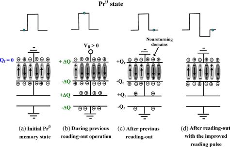 Schematic Drawings Of Ferroelectric Domains In C F And Stored Charges