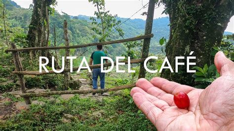 LA RUTA DEL CAFÉ CUEZALI en Cuetzalan Puebla YouTube