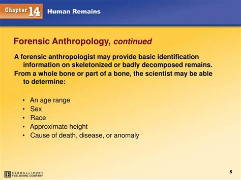 Ppt Human Remains Powerpoint Presentation Free Download Id 5800998