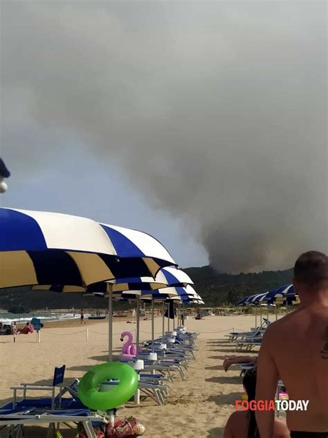 Fiamme A Vieste Le Immagini Del Pericoloso Incendio A San Felice