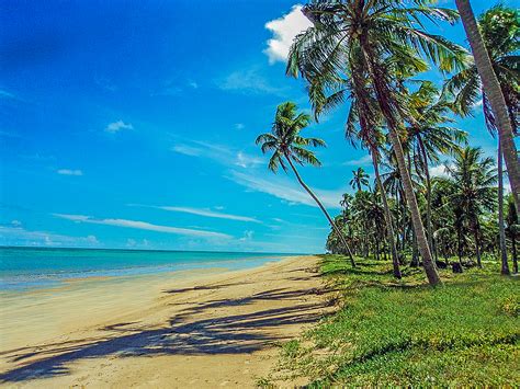 Paraíso Alagoas Praia De Maragogi Alagoas