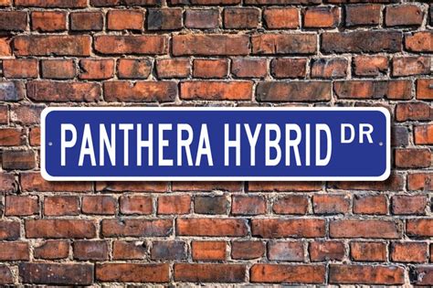 Panthera Hybrid Panthera Hybrid Gift Panthera Hybrid Sign - Etsy