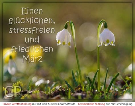 Coolphotos De Einen Gl Cklichen Stressfreien Und Friedlichen M Rz