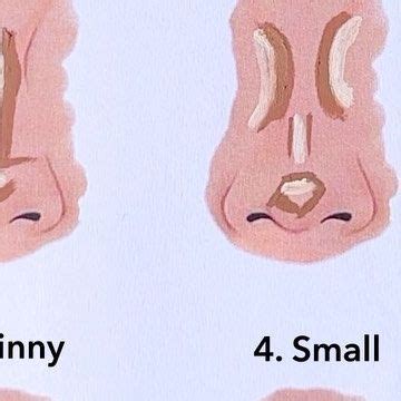 Farhin Shaikh on Instagram: "Which is your favourite nose contouring ...