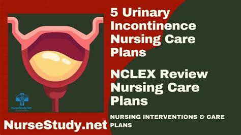 Urinary Incontinence Nursing Diagnosis And Nursing Care Plan