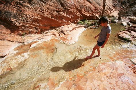 Red Cliffs Red Reef Hike Leeds Utah See Jane Blog