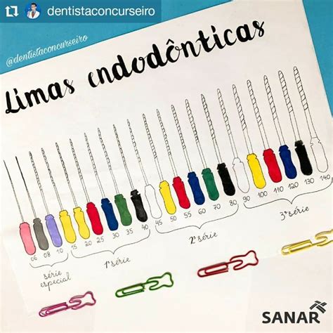 Pin De Lili En Odontologia Escuela De Higiene Dental Odontologia