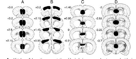 Figure 1 From Electrolytic Lesions Of The Medial Prefrontal Cortex Do