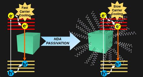 Controlling Hot Carrier Cooling Dynamics In CsPbX3 Nanocrystals With