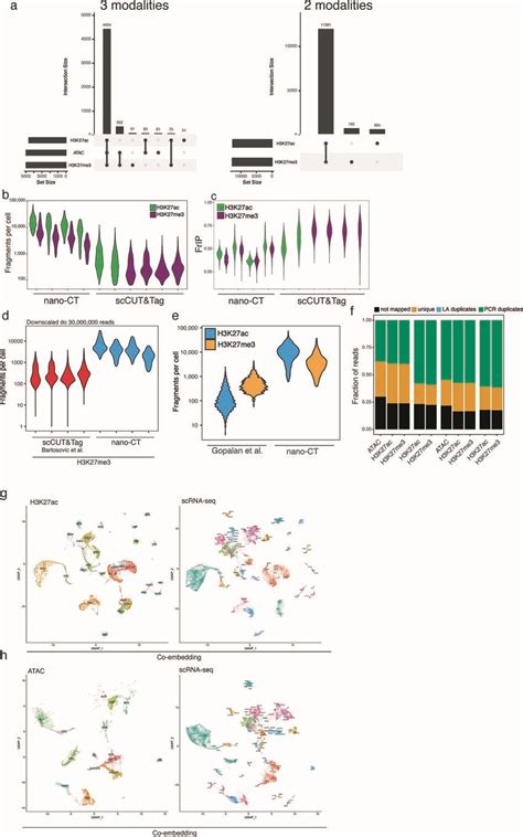 Atac H K Ac And H K Me At Loci Harboring Microglia And Mature