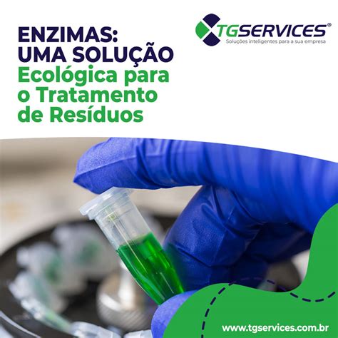 Como Limpar Uma Caixa De Gordura Usando Enzimas Tg Services