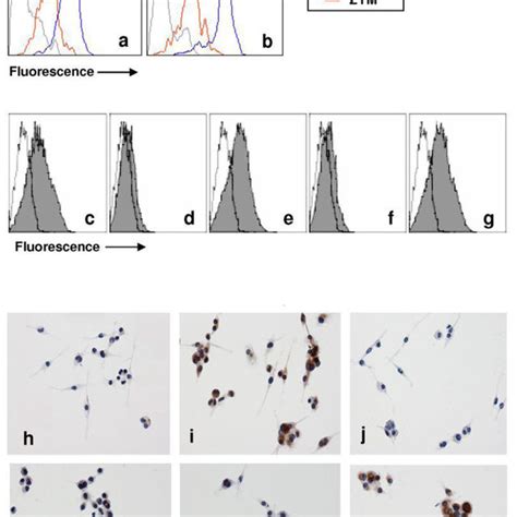 Adoptive Transfer Of Zymosan Treated T Cells Prevents Induction Of Eae