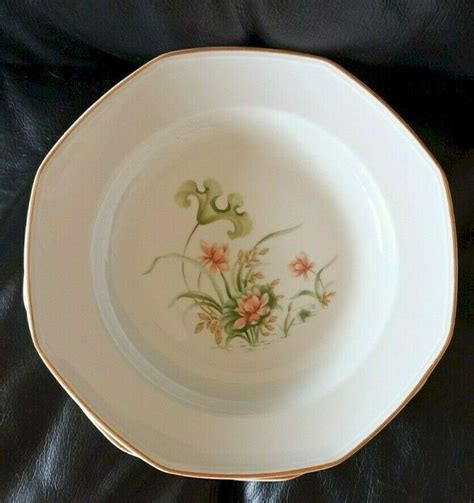 Assiettes Creuses Porcelaine De Sologne N Nuphars S France Blanc