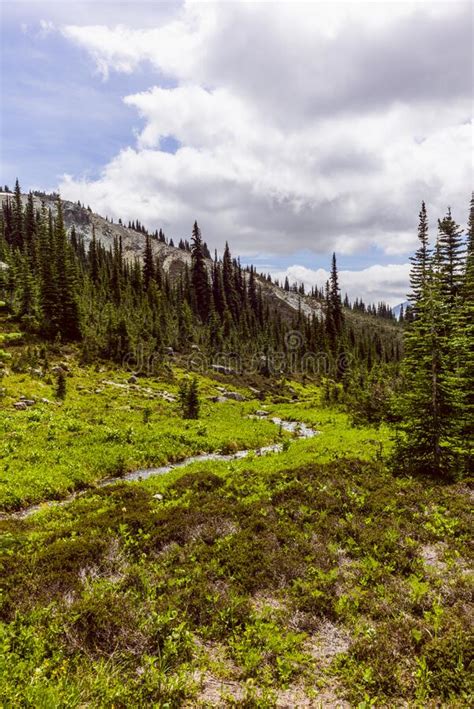 Hike To The Overlord Glacier Lookout Point Near Whistler In Canada