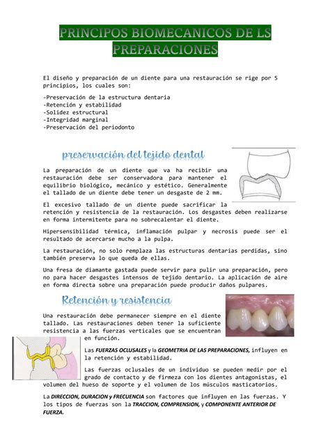 Solution Resumen De Los Principios Biomecanicos De Las Preparaciones