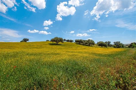 80+ Free Alentejo & Portugal Images - Pixabay