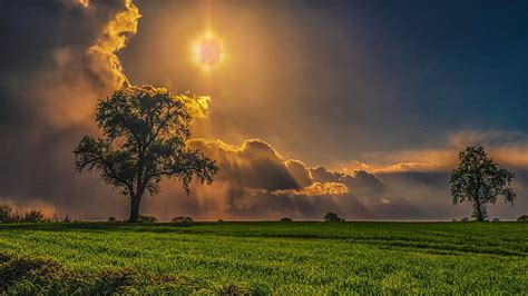 HD Wallpaper Nature Field Plain Land Landscape Grass Sky