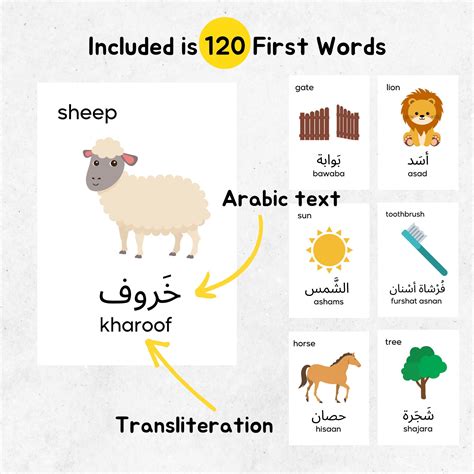 120 Arabic First Words Flash Cards Arabic Learning Children Muslim