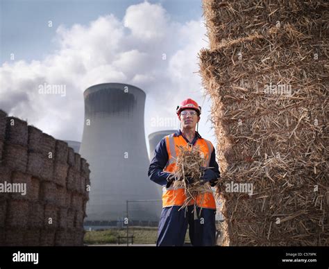 Worker with elephant grass biomass fuel Stock Photo - Alamy