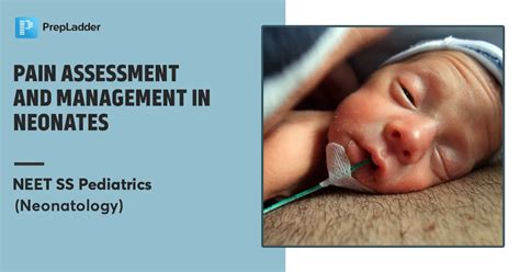 Pain Assessment And Management In Neonates