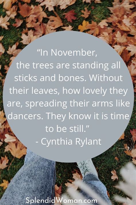 20 Great November Quotes To Ignite Your Holiday Mood November Quotes