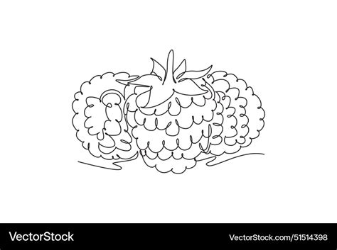 Single Continuous Line Drawing Whole Healthy Vector Image