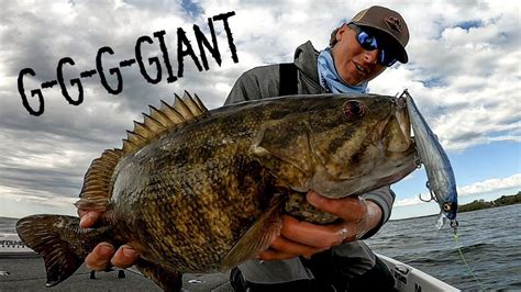 How To Locate And Catch Pre Spawn Giants On Mille Lacs Lake With A Jerkbait New Pb Youtube