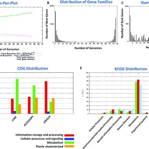 Pan Genome Analysis Panel A Indicates The Pan And Core Genome Curves Download Scientific