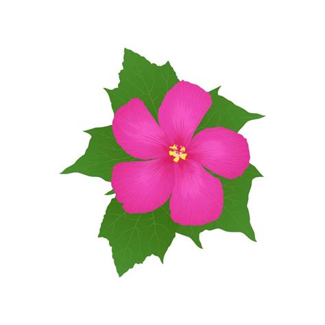 Realistic Pink Hibiscus Flower Vector Illustration 10938845 Vector Art At Vecteezy