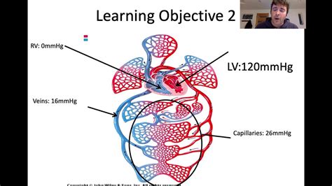 Blood Vessels Lecture Youtube