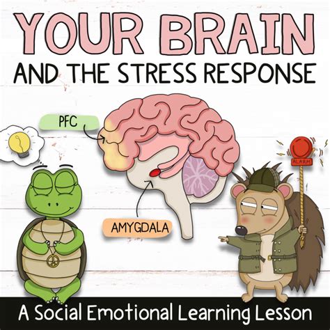 THE BRAIN STRESS RESPONSE Stress Management Lesson SEL Activities