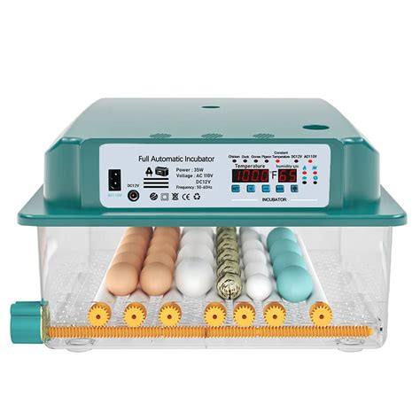 Top Best Incubator For Goose Eggs Reviews Buying Guide Katynel