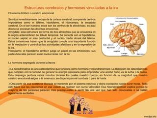 Fisiologia Y Conducta Ppt Descarga Gratuita