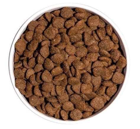 Pinso Ownat Ultra gos Low Grain medium esterilitzat - Animal Sapiens