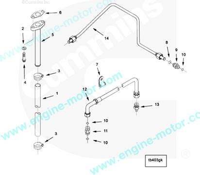 Cummins Flexible Hose