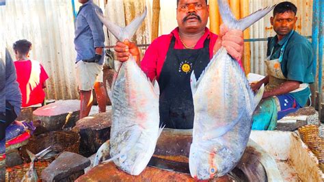 Kasimeduspeed Selvam Big Size Trevally Fish Cutting Video King Fish