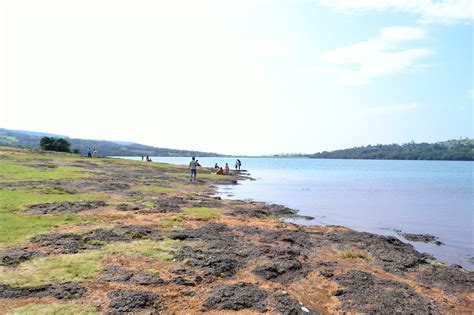 Pune Getaways: Kaas Plateau - A Visual Treat.