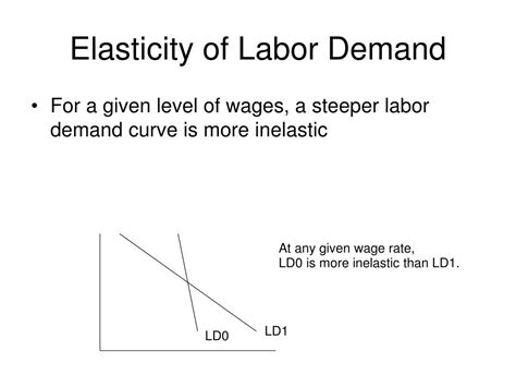 Ppt Chapter 4 Labor Demand Elasticities Powerpoint Presentation Free Download Id302001