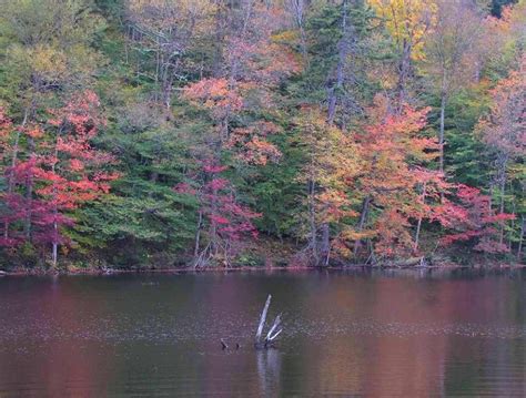 A Lovely Pond In Autumn Colors In The Adirondacks Whiteface Mountain