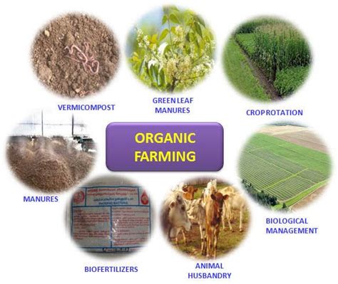 Organic Farming In India INSIGHTS IAS Simplifying UPSC IAS Exam