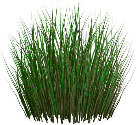 Grass Texture Png