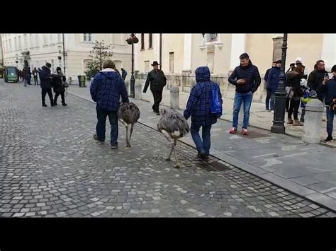 Em A Passeggio Tra Le Strade Di Lubjana Ma A Venezia No