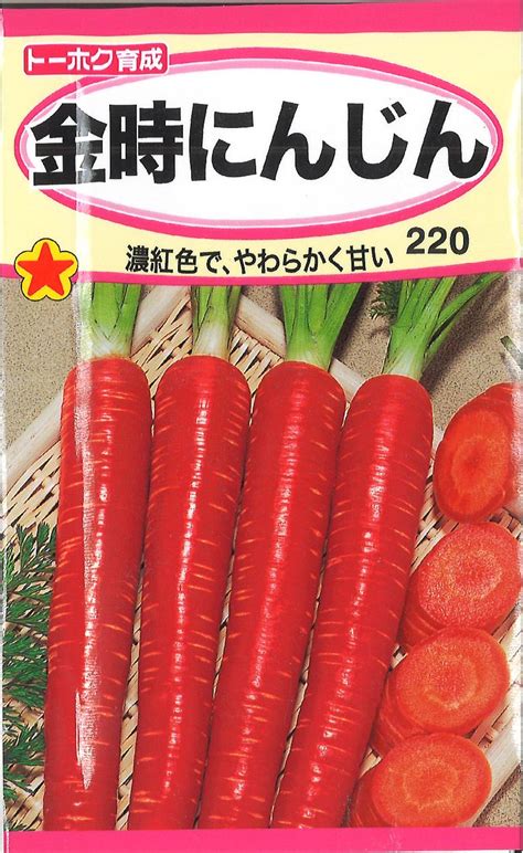 【楽天市場】【代引不可】【送料5袋まで80円】 金時にんじん 種子種子 人参 種 種子種子 人参 種 種子種子 人参 種 種子種子 人参 種